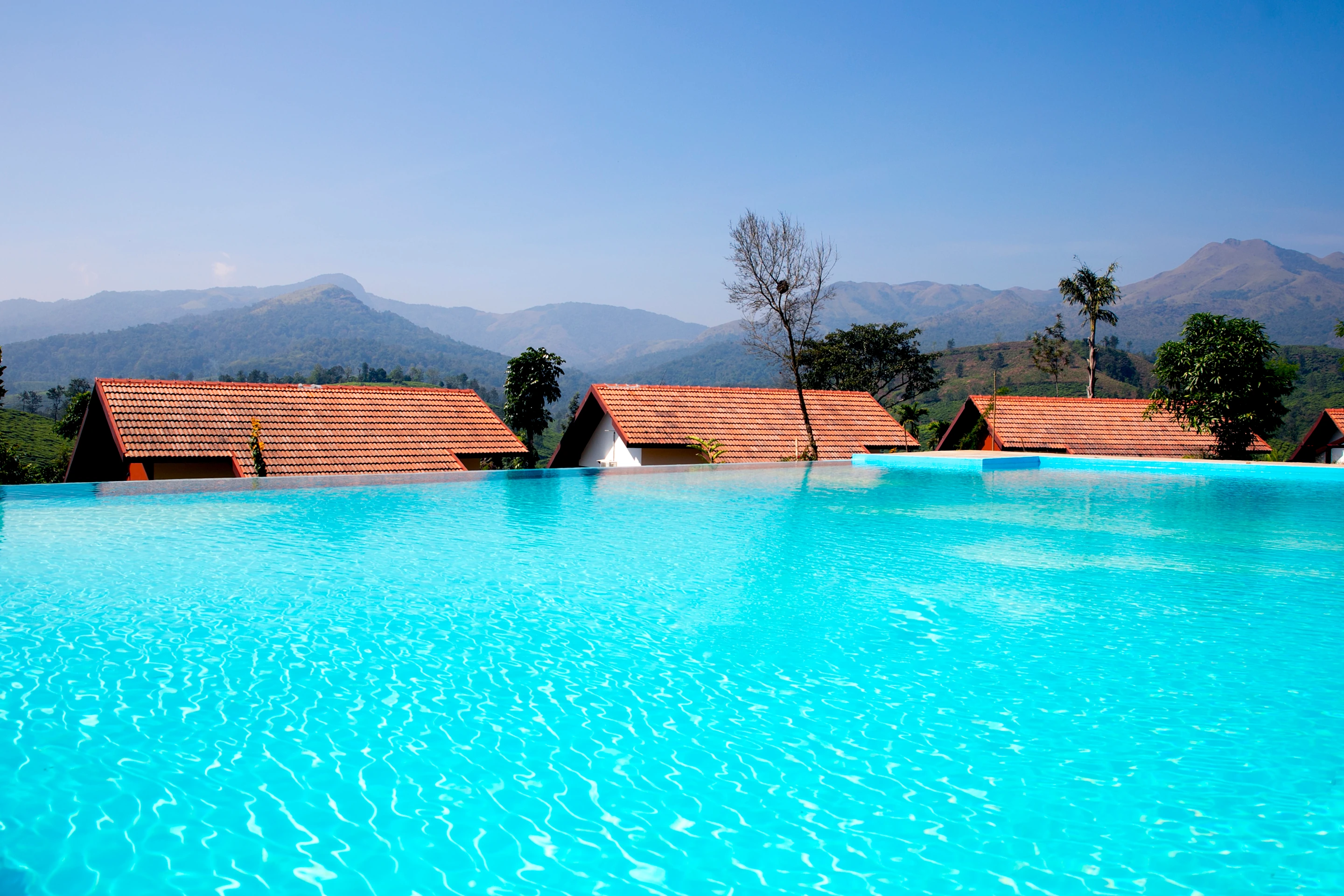 Peaceful swimming experience at nature resort