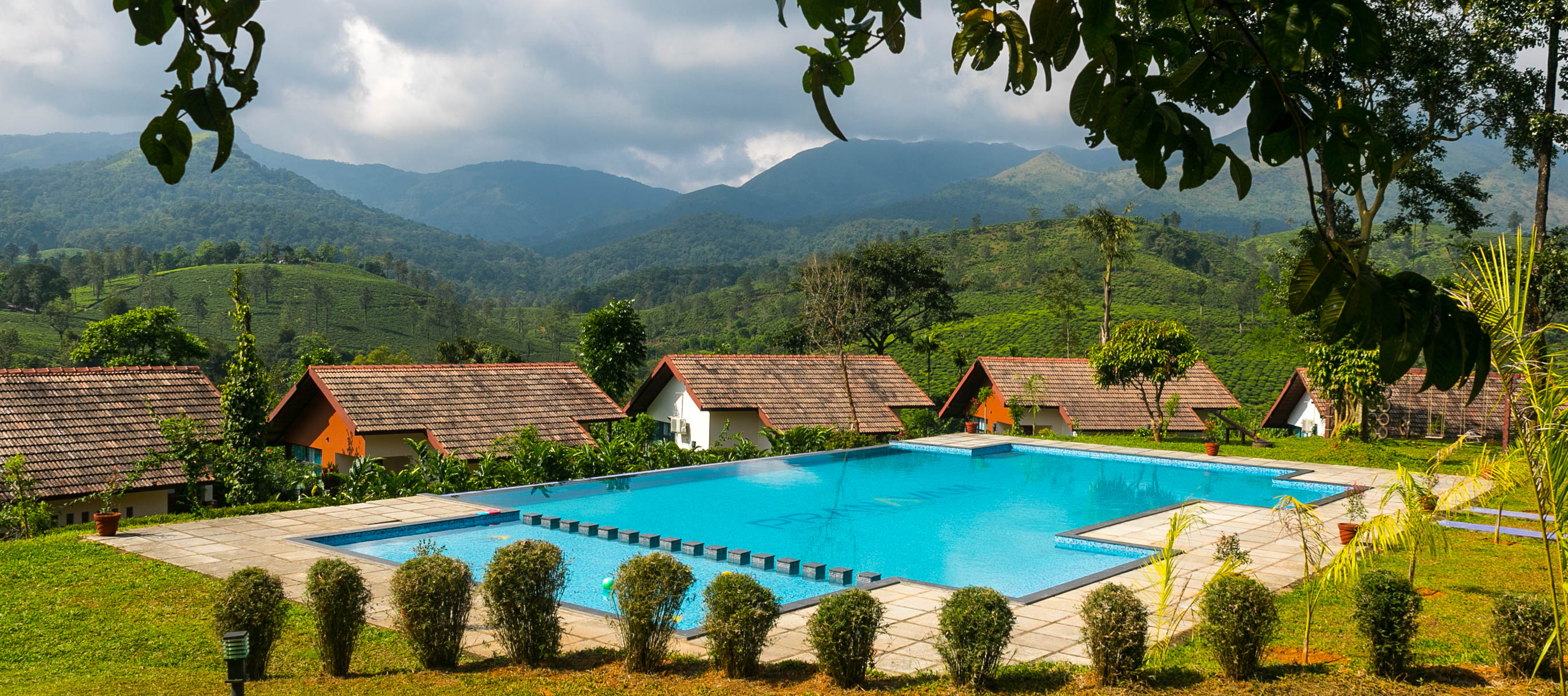 Relaxing infinity pool set amidst Wayanad hills and nature