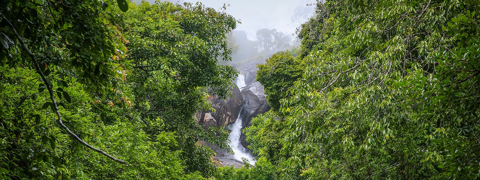Scenic view of Meenmutty Waterfalls in Wayanad 